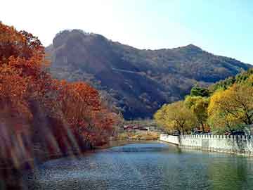 新澳天天开奖资料大全旅游团，皮山seo教程